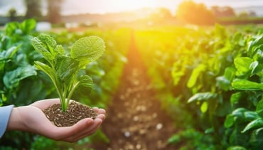 Integrating Sustainability Initiatives into Food and Beverage Manufacturing-PlanetTogether