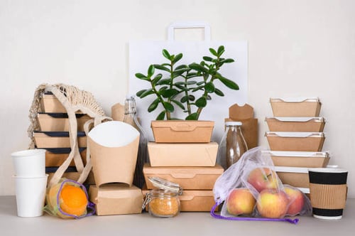 Biodegradable Packaging: The Future of Sustainable Packaging Manufacturing-PlanetTogether