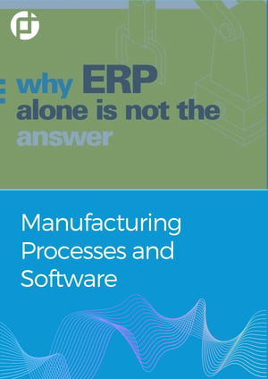 why erp alone is not the answer